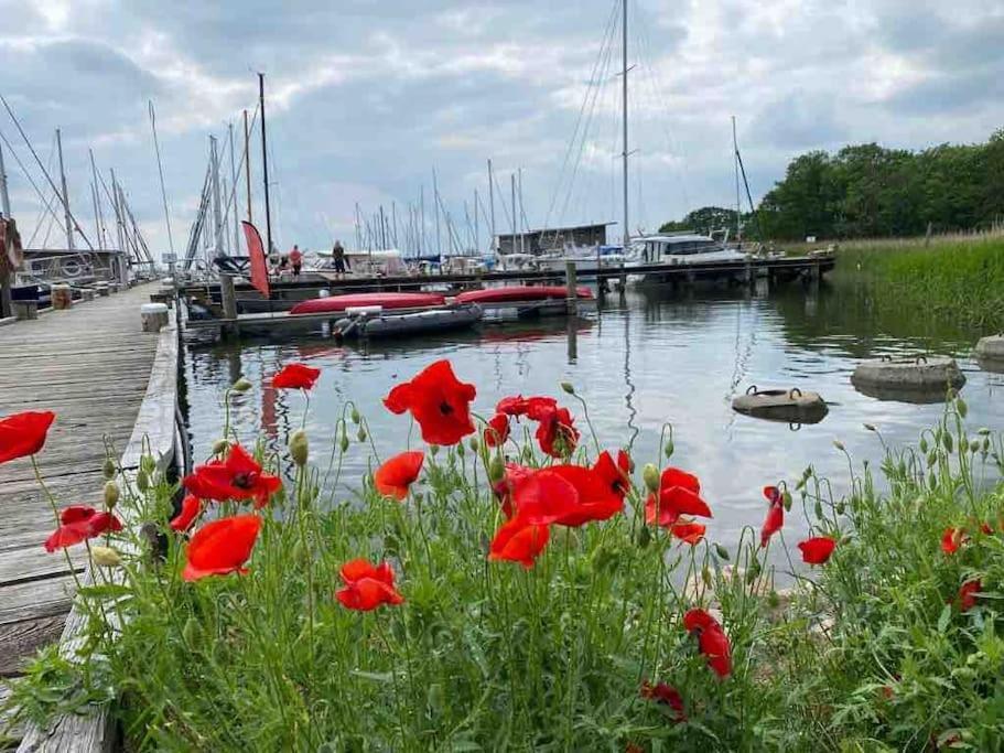 Ferienhaus Mit Wasserblick Auf Der Insel Usedom Krummin Ngoại thất bức ảnh